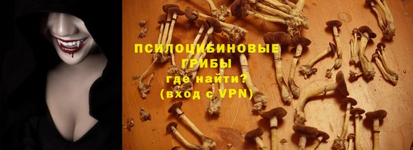 mdma Вяземский