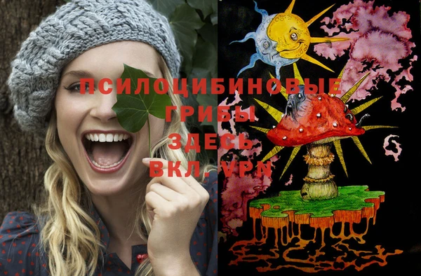 дживик Сосновка